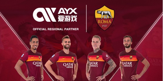 了专业人士